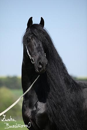 staj_ufonek34564.jpg