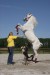 Tricks mit Hund 9.JPG