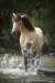 Connemara_JJ_Fluss_639.JPG